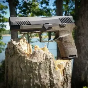 Handgun elegantly displayed on tree stump in serene outdoor setting.